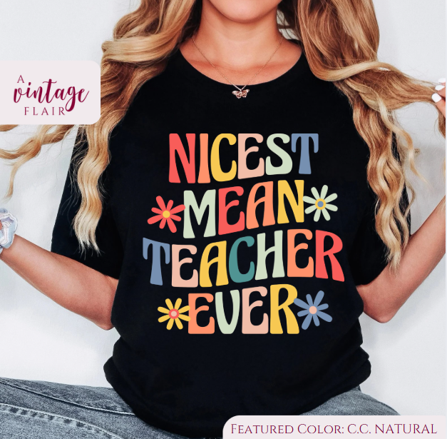 Nicest Mean Teacher Top